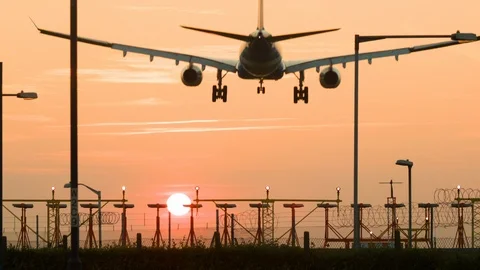 Passenger plane landing at sunset Video stock 104162822