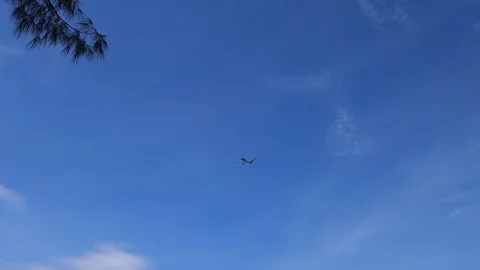 Passenger plane taking off overhead through blue sky Video stock 83037985