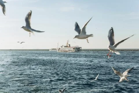 Passenger ship or ferry Stock Photos