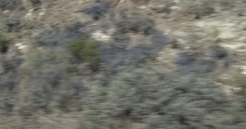 Passenger Side Driving Shot, Desert Canyon Mountain Landscape in California Stock Footage 253973876