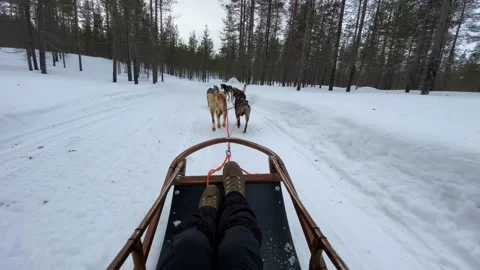 Passenger on a sled pulled by huskies on a path through deep snow in Lapland 스톡 동영상 149396063