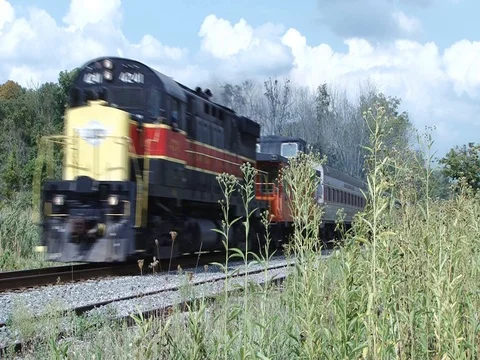 Passenger train appears coming out of the forest. Stockbeeldmateriaal 80100646