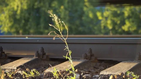 Passenger train fast running to the sunset Stock Footage 78699637
