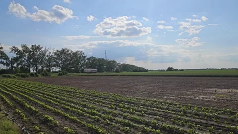 Passenger train Stock Footage 310190924