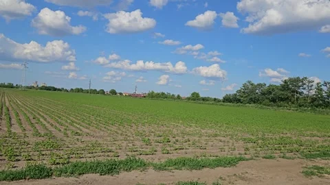 Passenger train Stock Footage 310190925