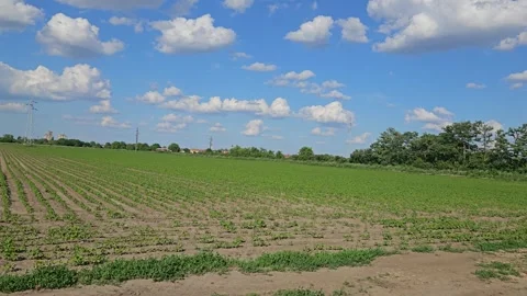 Passenger train Stock Footage 310191062