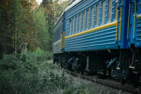 Passenger train goes through the forest Stock Photos