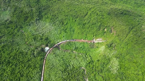 Passenger train going into the mountain tunnel in the tropical forest Stock Footage 246589705