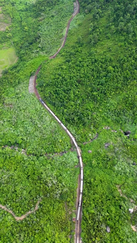 Passenger train going up in the tropical forest Stock Footage 246589821