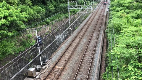 Passenger Train moving through a forest in Japan. Stock-Footage 132144337