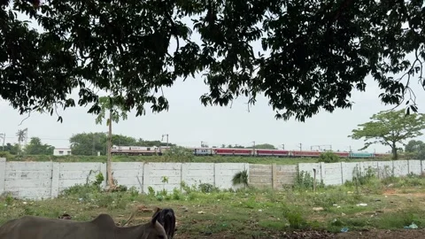 Passenger Train Moving Through Rural Landscape Near Bhubaneswar India Stock Footage 337983216