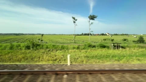 Passenger Train Passing Beautiful Rice Fields in Indonesia Stock Footage 341433195