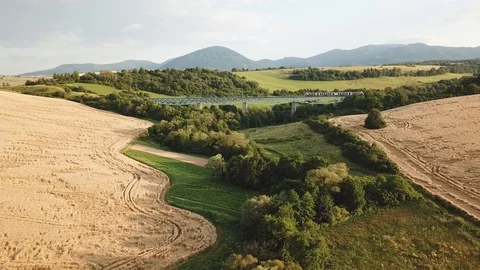 Passenger train passing bridge. Fields, meadows and railroad viaduct Stock Footage 125846351