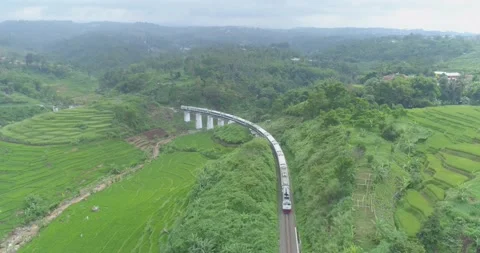 Passenger Train Passing by a Curved Rail and Rice Field Near Cimeta Bridge Stock Footage 131102441