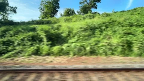 Passenger Train Passing Dense Green Forest Stock Footage 341450798