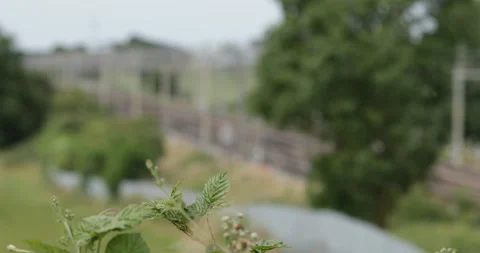 Passenger train passing  Stock Footage 137464114