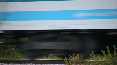 Passenger train passing by in front of corn field Stock Footage 169915754