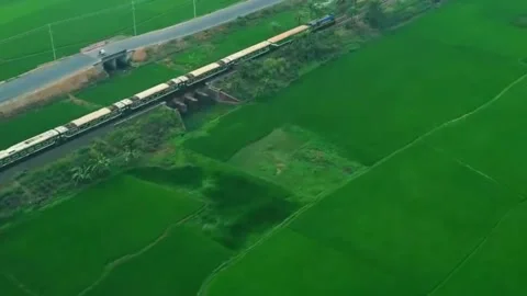 Passenger Train Passing Through Lush Green Paddy Fields 스톡 동영상 336423975