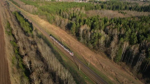 Passenger train on railway from forest, aerial view. Train with passenger cars Vídeos de archivo 190065504