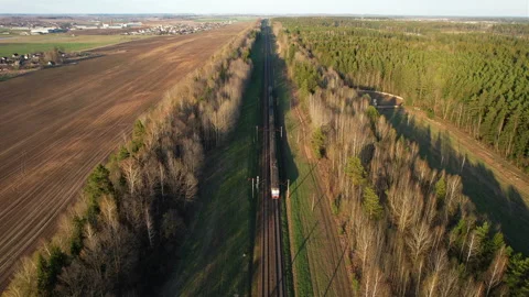 Passenger train on railway from forest, aerial view. Train with passenger cars Video stock 190068718