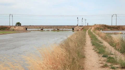 Passenger train in Spain Vidéo 51232424
