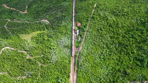 Passenger train starting from the train station in the tropical forest Stock Footage 246589697