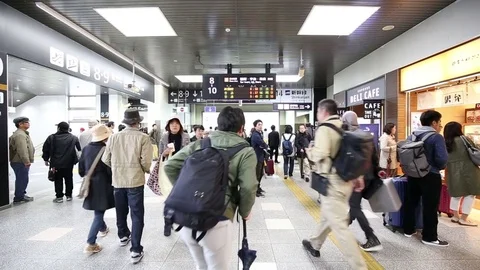 Passenger in the train station rush hour Stock Footage 74658486