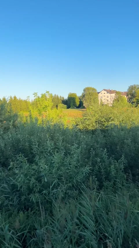 Passenger train window view of beautiful Polish countryside. Stockbeeldmateriaal 345250935