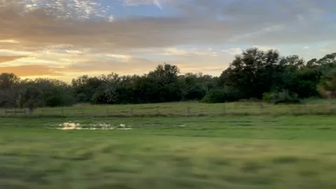 Passenger view from car window on florida, USA Stock Footage 221823991