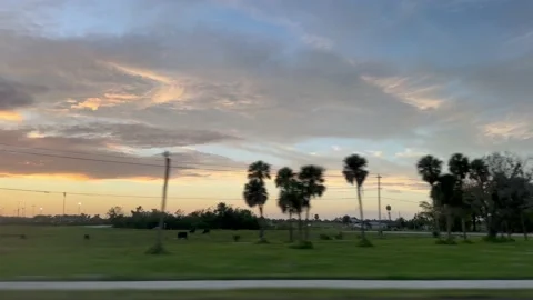 Passenger view from car window on florida, USA Video stock 221824091