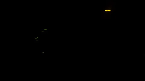 Passenger view through the window of train traveling at dark night. Stock Footage 120652134