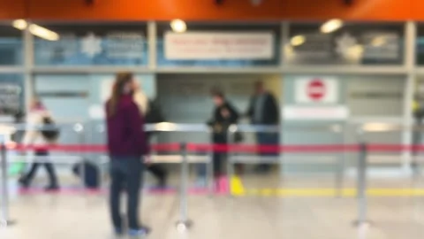 Passengers arriving by plane exit with their luggage through automatic doors. Stock Footage 311073129