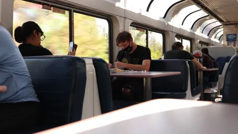 Passengers on Commuter Train - One Man is Drawing while Wearing a Mask Stock Footage 182744774