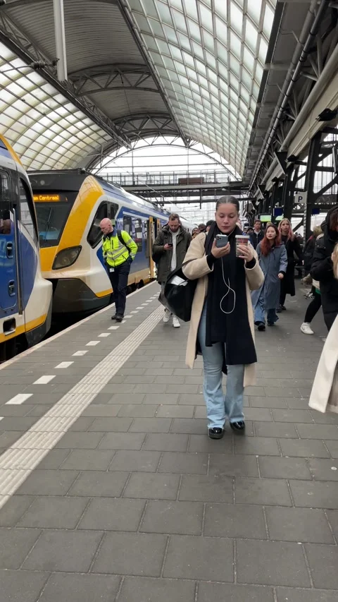 Passengers out of the NS train 動画素材 270323011