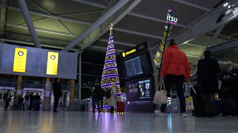Passengers pass a Christmas tree at night Heathrow airport 6K Stock Footage 296087671