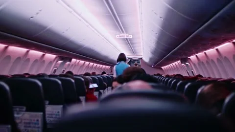 Passengers in plane sitting in their seats and flight attendant is going forward Stock Footage 170156979