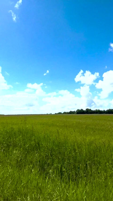 The passenger's point of view, driving in a car. Beautiful view from the window Stock Footage 277208323