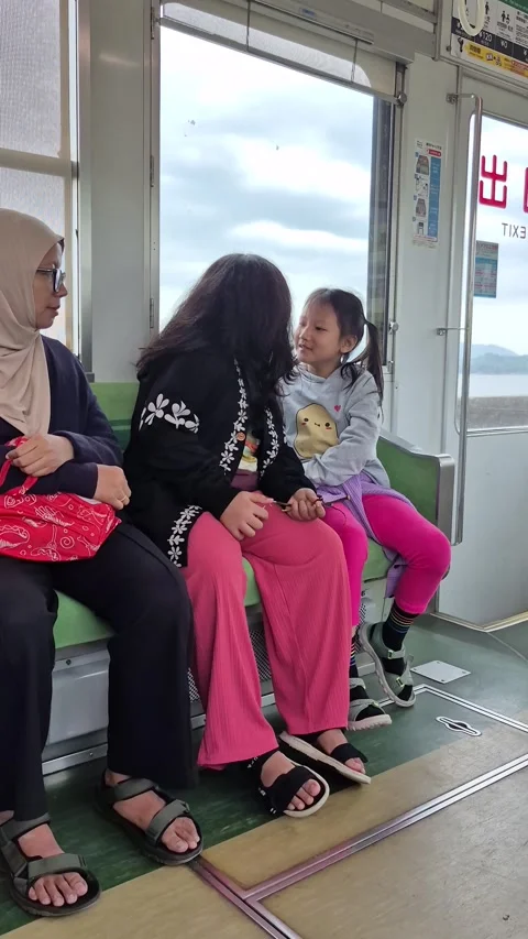 Passengers sitting inside a classic tram Video stock 338313153
