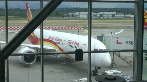 Passengers View of Airplane Parked at Gate Video stock 219199127