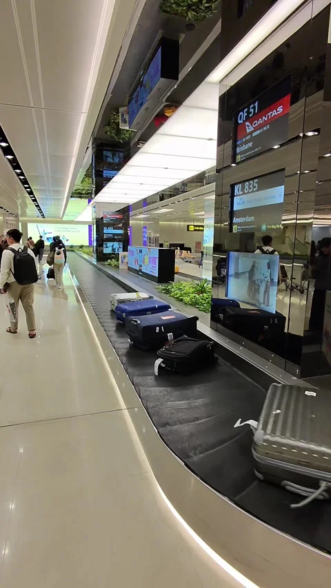 Passengers Walking Past Luggage Carousel in Modern Airport Terminal Stock Footage 325164401