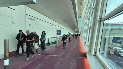 Passengers Walking Through Modern Tokyo Haneda Airport Terminal Corridor Wi.. Stock Footage 340166255