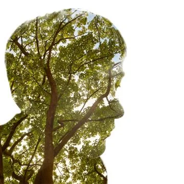 Passepartout Stock Photos