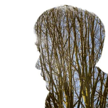 Passepartout Stock Photos