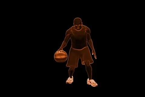 Passer Shaded Stock Footage
