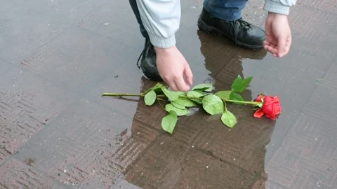 A passerby carefully picks up an abandoned red rose from a puddle Stock Footage