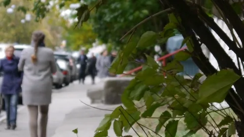 Passersby Video stock 76952325