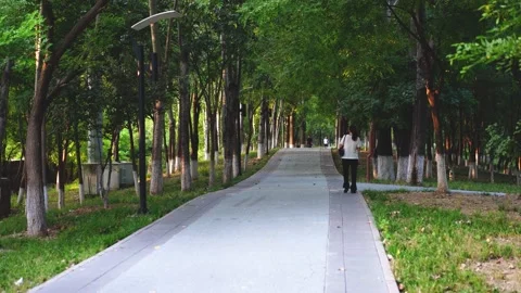 Passersby walking in the park in the evening Stock Footage 218286960
