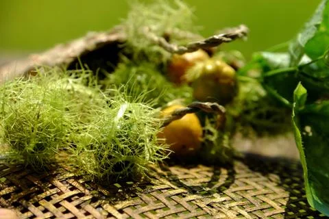 Passiflora foetida fruit Stock Photos