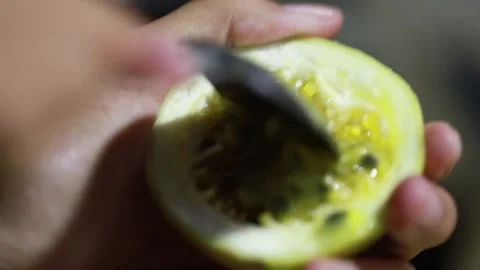 Passiflora quadrangularis L Stock Footage 292191810