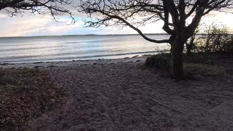 Passing bare winter trees to approach sandy beach during glowing morning sunrise Stock Footage 325661295